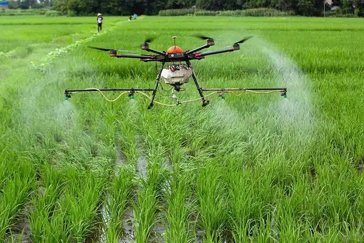 农业植保监测
